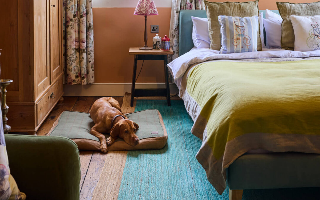 Dog Friendly Walks in the Forest of Dean: The Best Scenic Routes to Explore