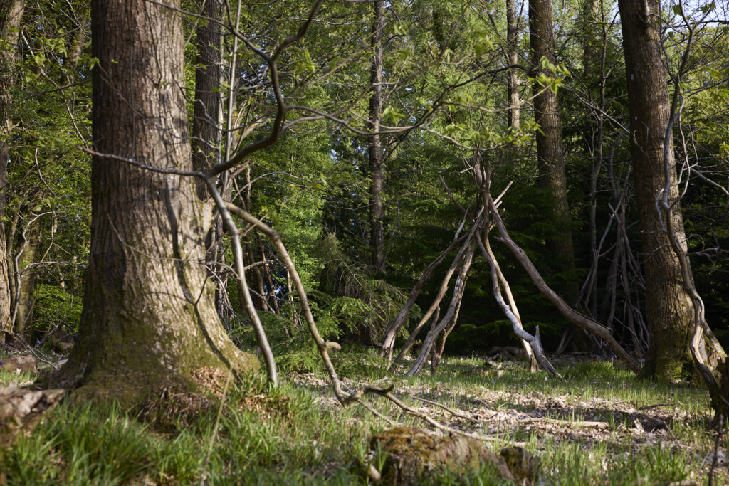 things-to-do-forest-of-dean