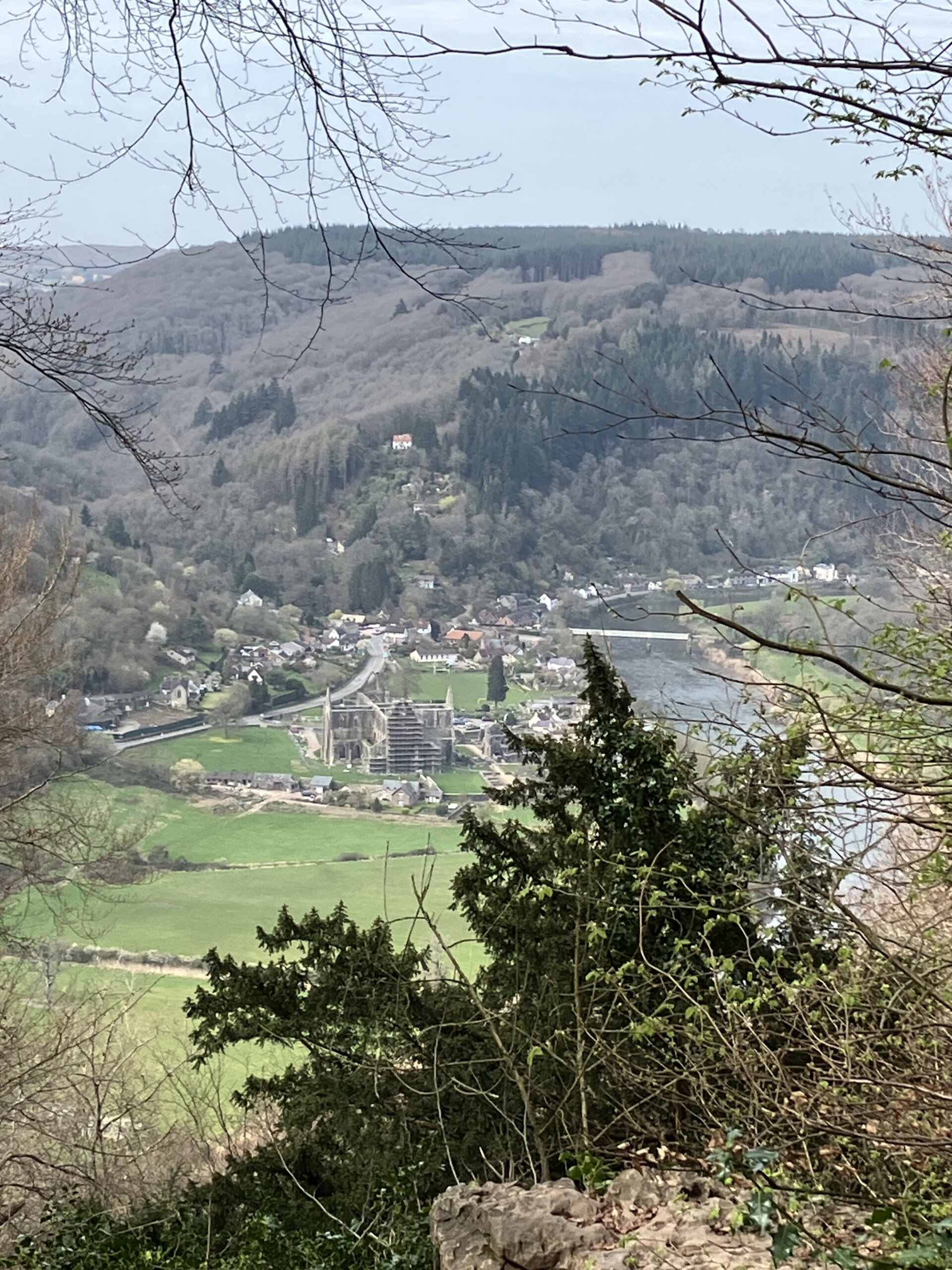 sex-education-filming-locations-forest-of-dean