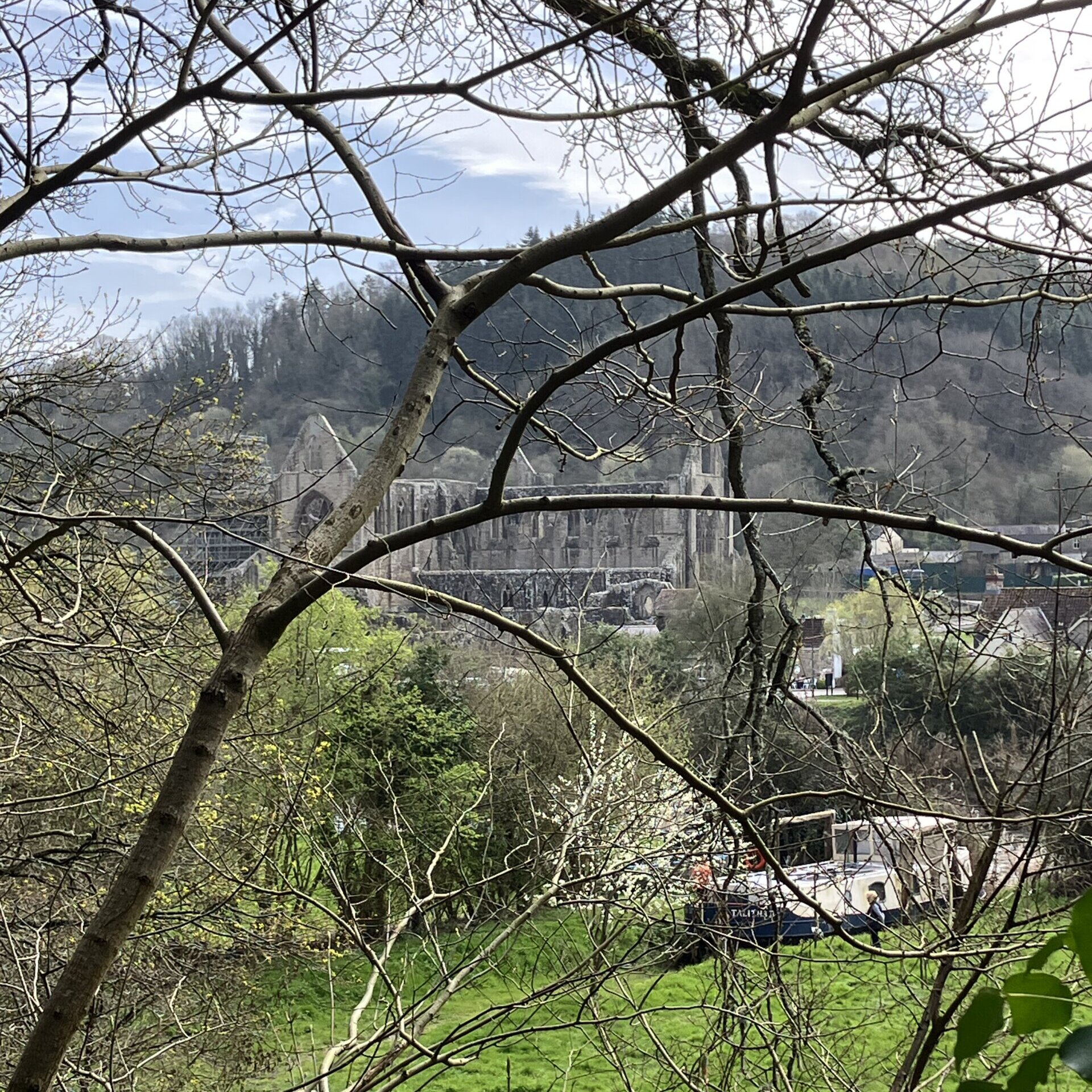sex-education-filming-locations-forest-of-dean