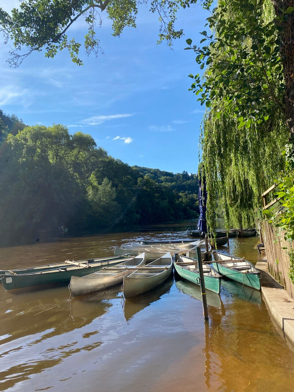 sex-education-filming-locations-forest-of-dean