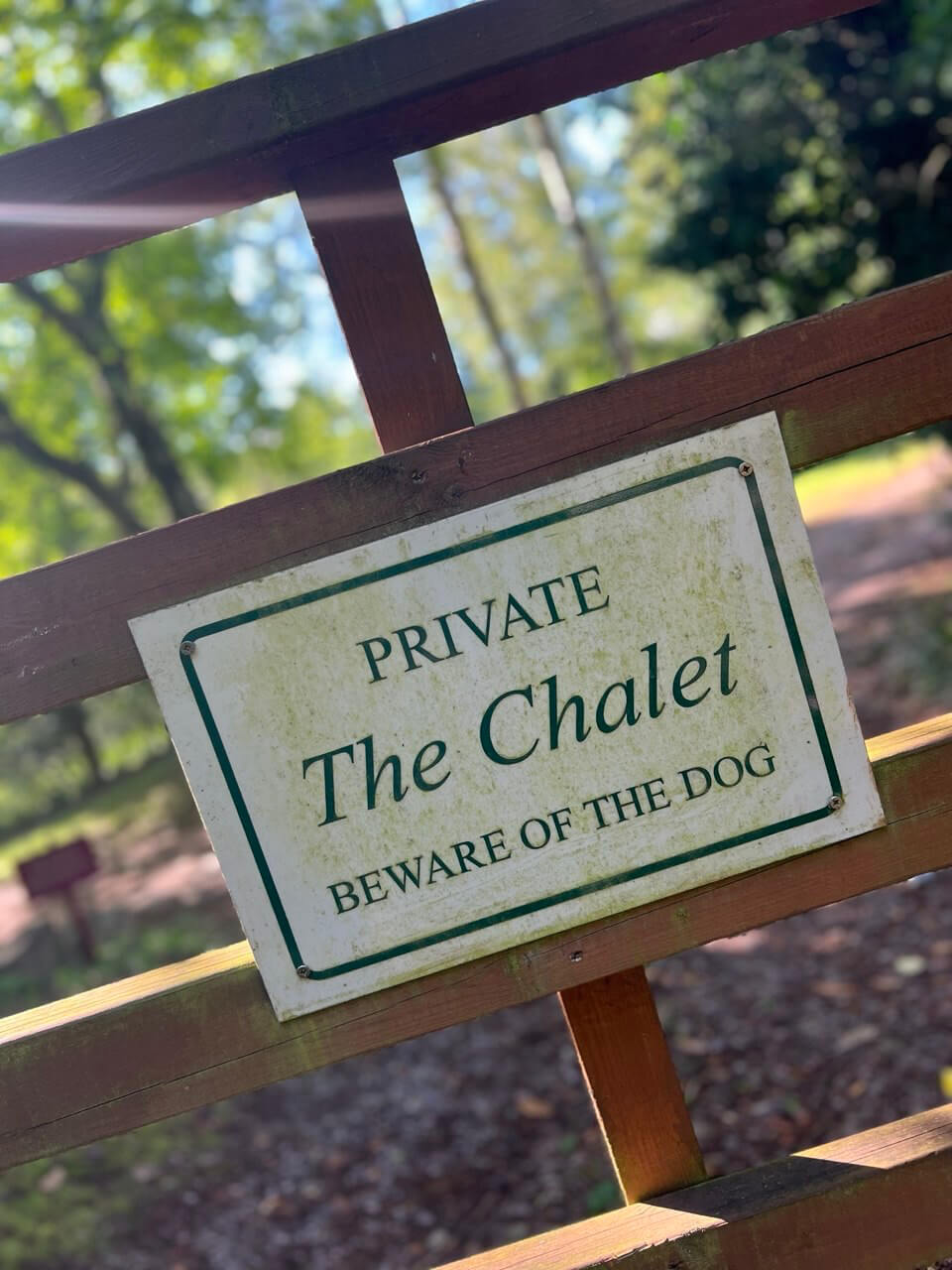 sex-education-filming-locations-forest-of-dean