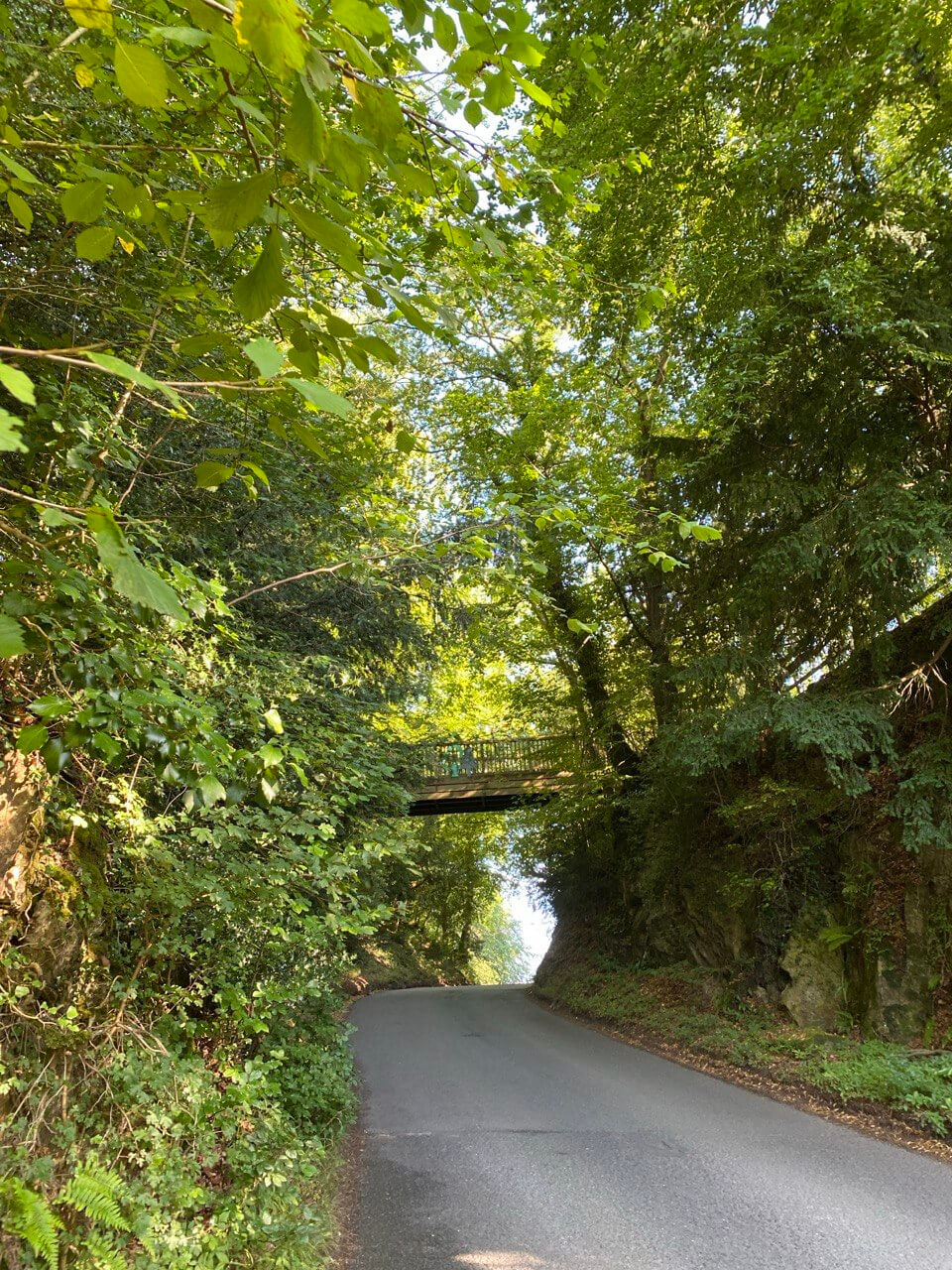 sex-education-filming-locations-forest-of-dean