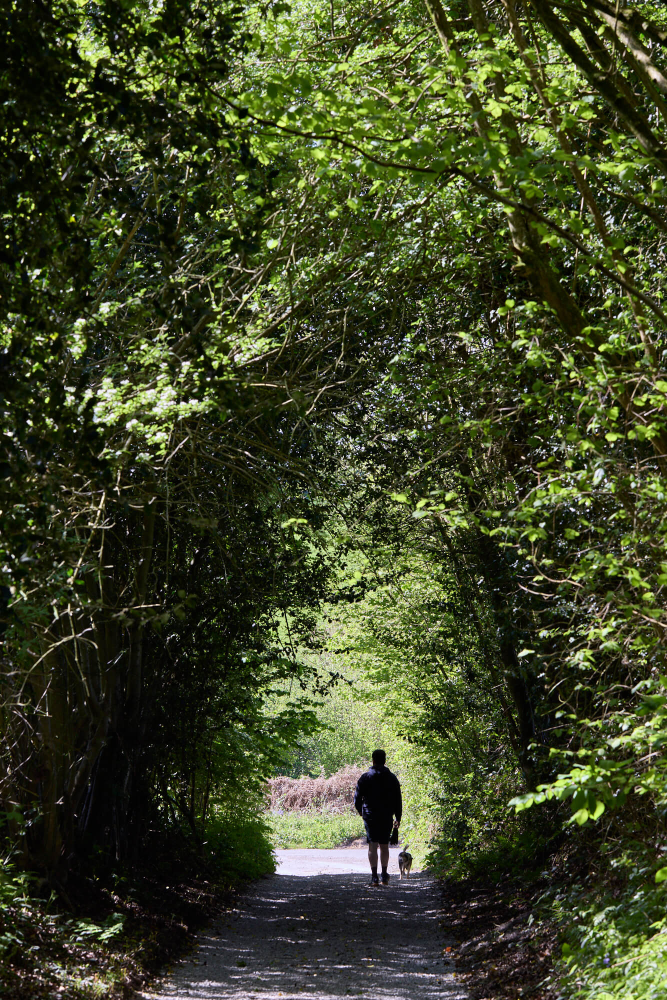 newnham-on-severn-perfect-base-exploring-gloucestershire