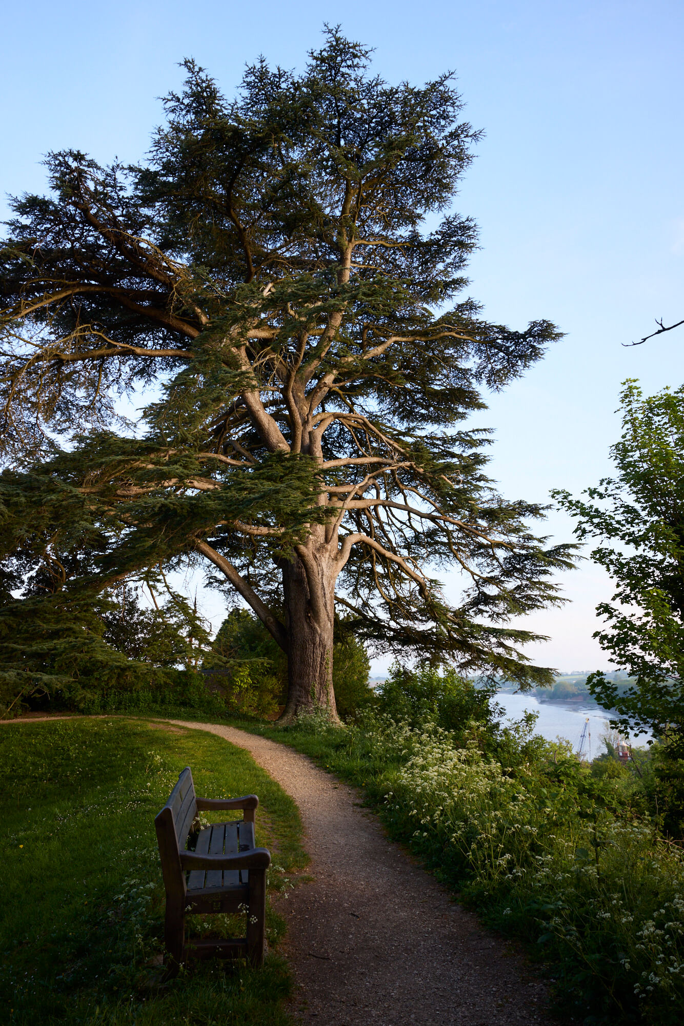 newnham-forest-of-dean